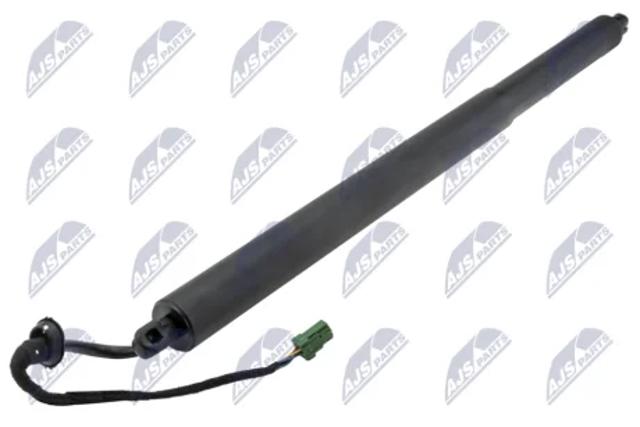 Амортизатор кришки багажника AEPL067 NTY