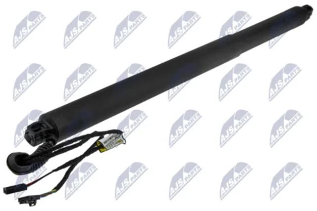 Амортизатор ляди AESK029 NTY