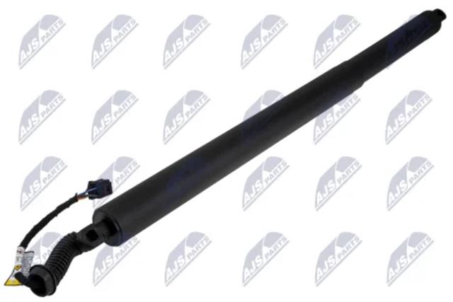 Амортизатор ляди AESK043 NTY