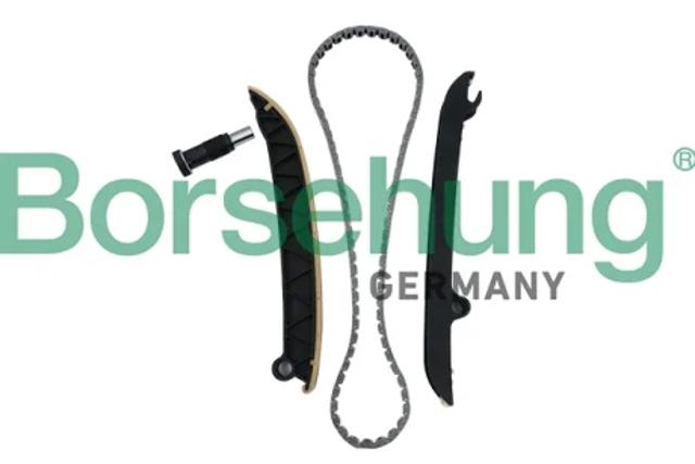 Ланцюг ГРМ, комплект B18296 BORSEHUNG