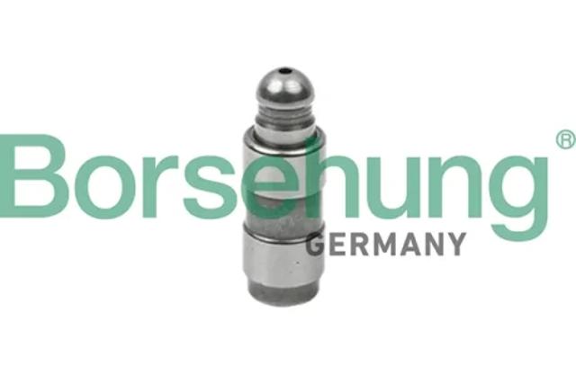 Компенсатори B18825 BORSEHUNG
