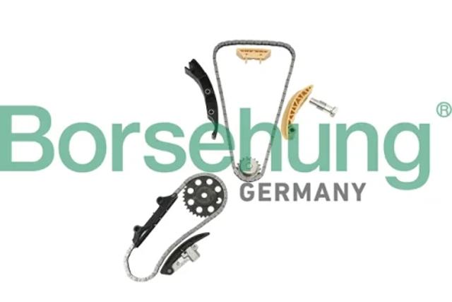 Ланцюг ГРМ, верхня B18846 BORSEHUNG