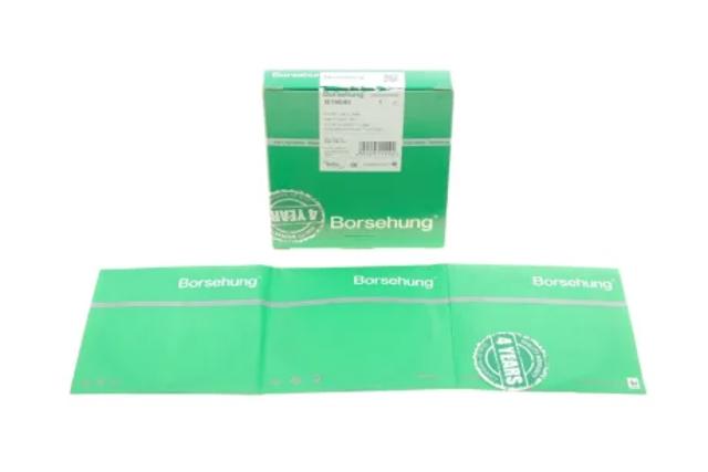 Кільця поршневі на 1 циліндр, STD. B19040 BORSEHUNG