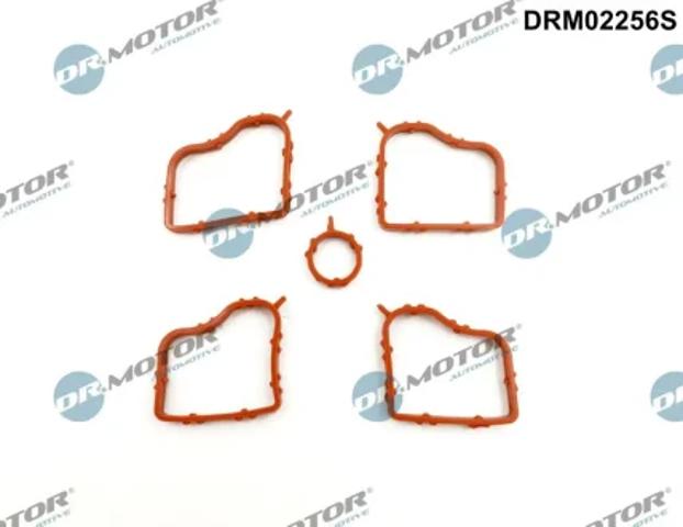 Прокладка клапанної кришки двигуна, комплект DRM02256S DR.MOTOR