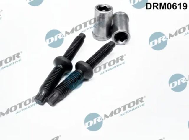 Болт кріплення форсунки DRM0619 DR.MOTOR