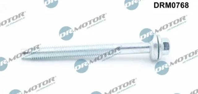 Болт кріплення форсунки DRM0768 DR.MOTOR