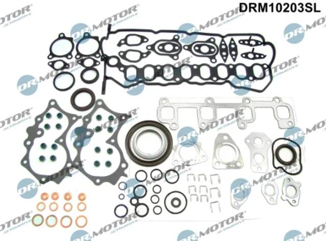 Комплект прокладок двигуна, повний DRM10203SL DR.MOTOR
