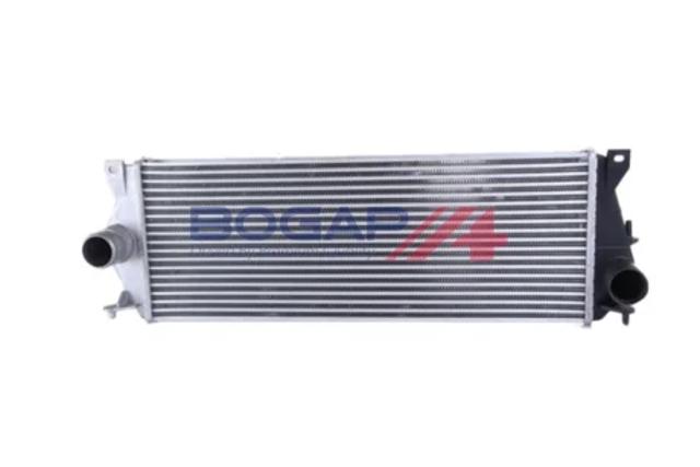 Бачок системи охолодження двигуна розширювальний E4240110 BOGAP PREMIUM