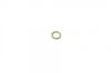 Сальник ПНВТ F01M100049 BOSCH