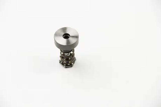 Плунжерная пара F01M101349 BOSCH