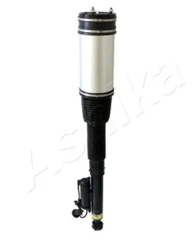 Амортизатори задні MAAS042 ASHIKA