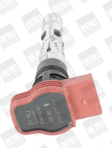 ZSE061 Beru
