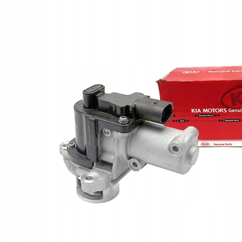 Клапан EGR рециркуляції газів 284102F600 HYUNDAI