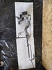 D2BC-2C405-FE. ABS АБС Ford Fiesta 11-19  D2BC2C405FB