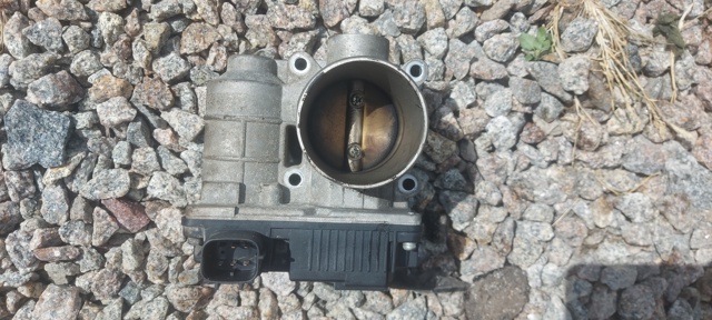 Заслінка повітряна 1611895F0C NISSAN