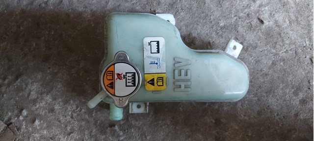 Розширювальний бачок охолодження 254304R000 HYUNDAI