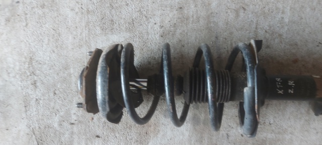 Пружина підвіски задня 550208H762 NISSAN