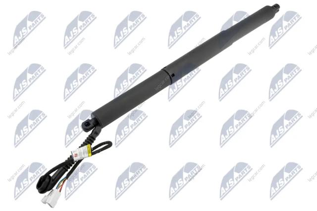 Амортизатор кришки багажника AEBM099 NTY