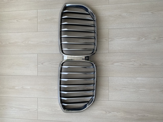 Захисна решітка радіатора 7454888 BMW
