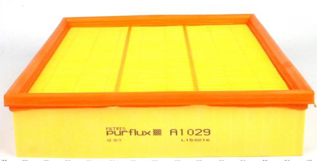 Елемент повітряного фільтра A1029 PURFLUX