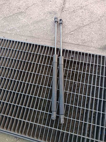 Амортизатор кришки багажника 3C9827550A VAG