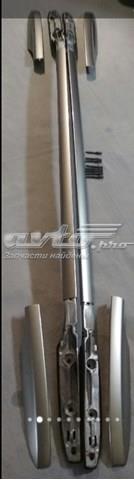 Автомобільний рейлінг на дах лівий 738210012R JAC