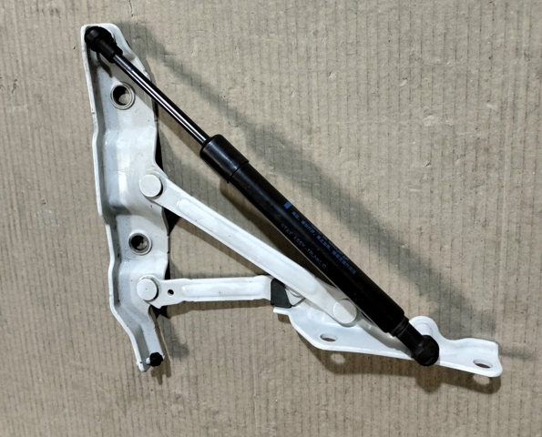 Петля багажника 844015CA0A NISSAN