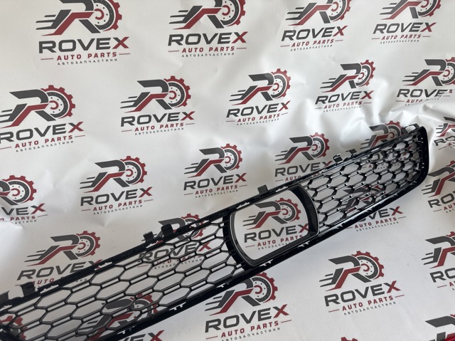 Решітка переднього бампера, центральна RG110141 REINGARD