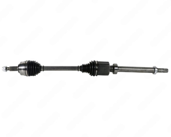 XX391005070R Market (OEM)