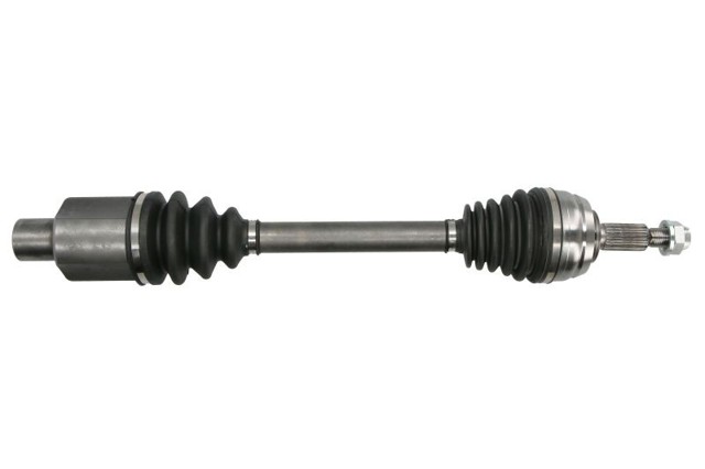 XX391006913R Market (OEM)