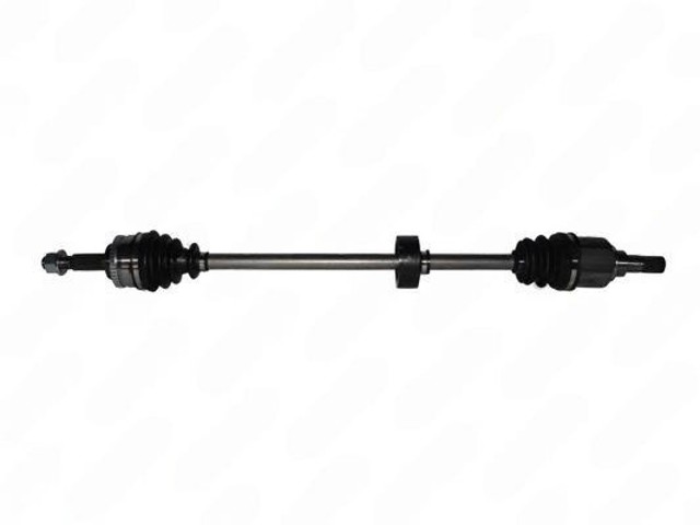 XX3910095F0A Market (OEM)