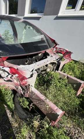 Отвір передніх лівих дверей 1037216S0A TESLA