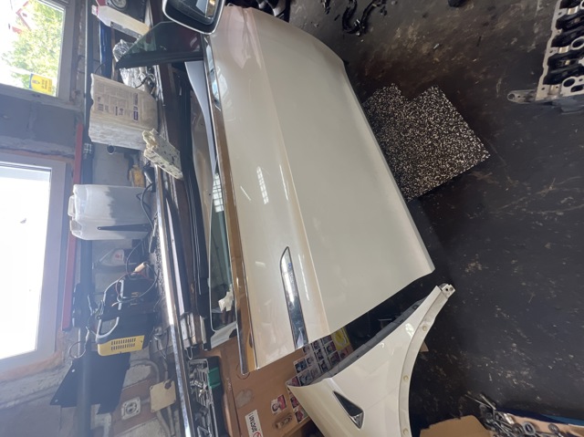 Пасажирські передні двері 1069536E0C TESLA