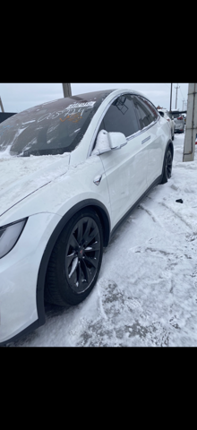 Двері задні 1069537E0A TESLA