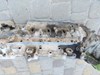 Пенал распредвала. nissan qashqai 14-22 130C05277R