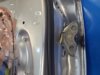 Петля заднтої двері, лівої 6876006010 TOYOTA