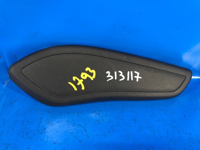 Подушка Айрбег спинки сидіння лівого HP5Z54611D11AH FORD