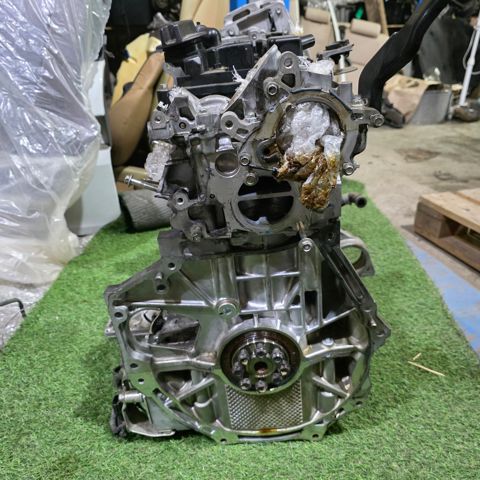 Двигун у зборі 101025NAHA NISSAN
