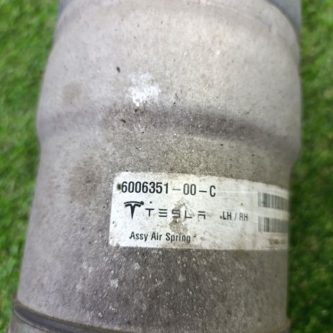 Амортизатори передні 600635100C TESLA