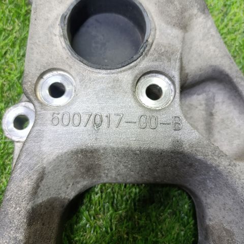 Цапфа поворотна ліва 600701700B TESLA