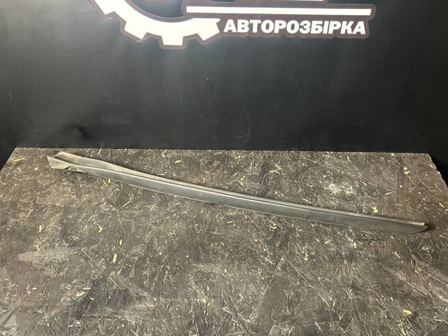 Молдинг вітрового скла лівий 51317475979 BMW