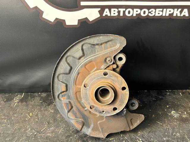 Цапфа поворотного кулака 5Q0407256Q VAG