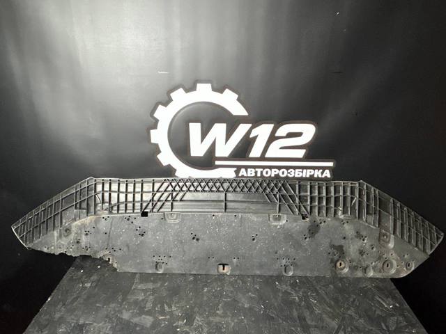 Захист бампера переднього 8W0807611 VAG