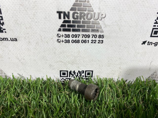 Болт кріплення маховика WHT009773 VAG