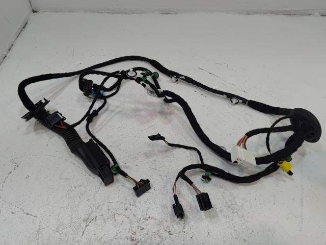 Джгут проводів передньої двері 3CN971121BS VAG