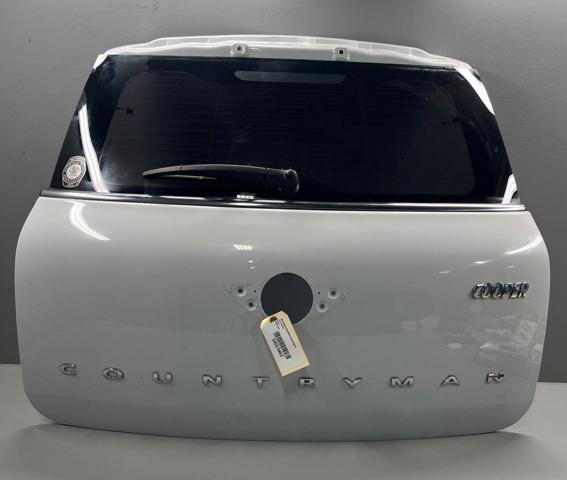 Двері багажника 41009806459 BMW