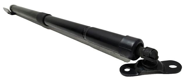 Амортизатор двері задньої 74981TG7306 HONDA
