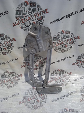 Завіса капота права 1T0823302B VAG