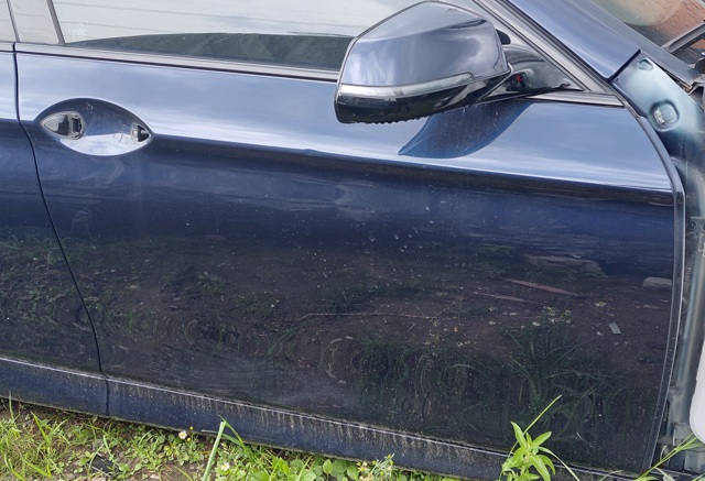 Пасажирські передні двері 41009628754 BMW