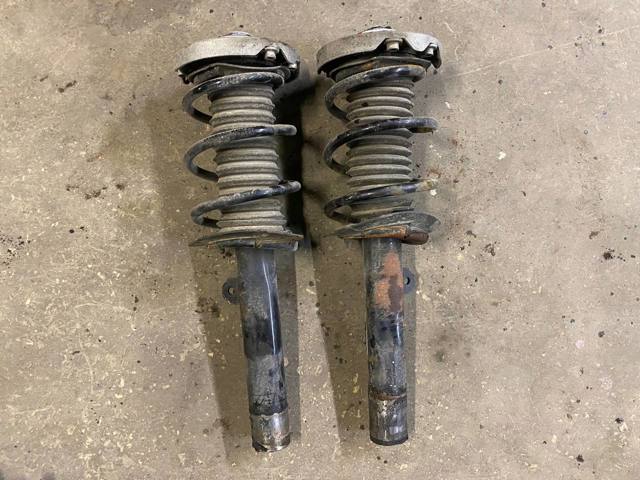 Амортизатор передньої підвіски, лівий 31306886753 BMW